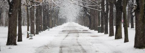 Neumáticos de invierno o cadenas ,¿qué es mejor?