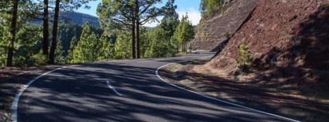 Ruta en coche por los Guachinches en Tenerife