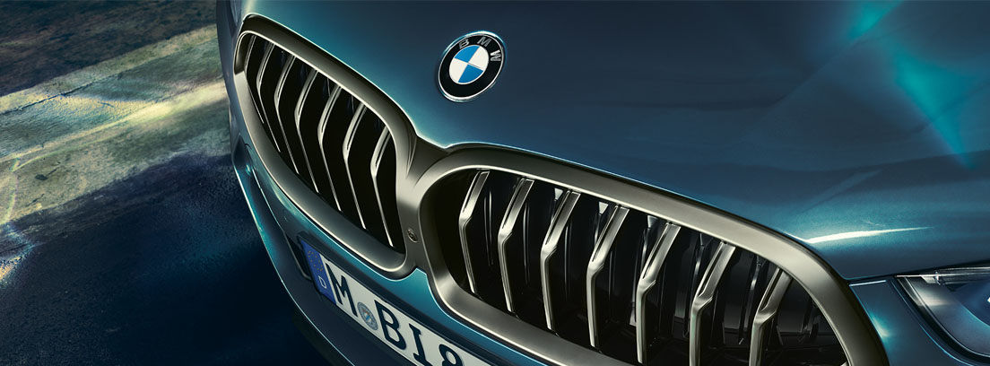 BMW X5 y el serie 8 Coupé, novedades de lujo