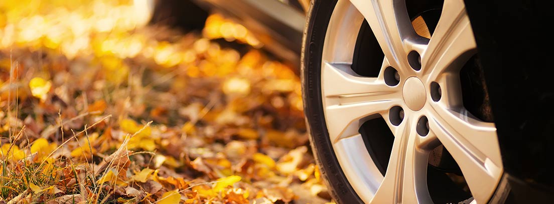 Prepara tu coche para el otoño: revisa estos 5 puntos