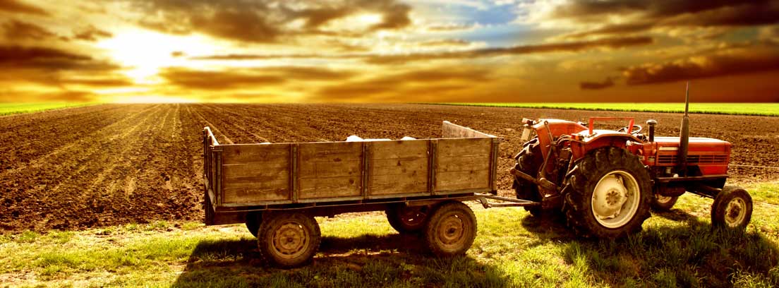 Cómo es el carnet para vehículos agrícolas y qué requisitos hay