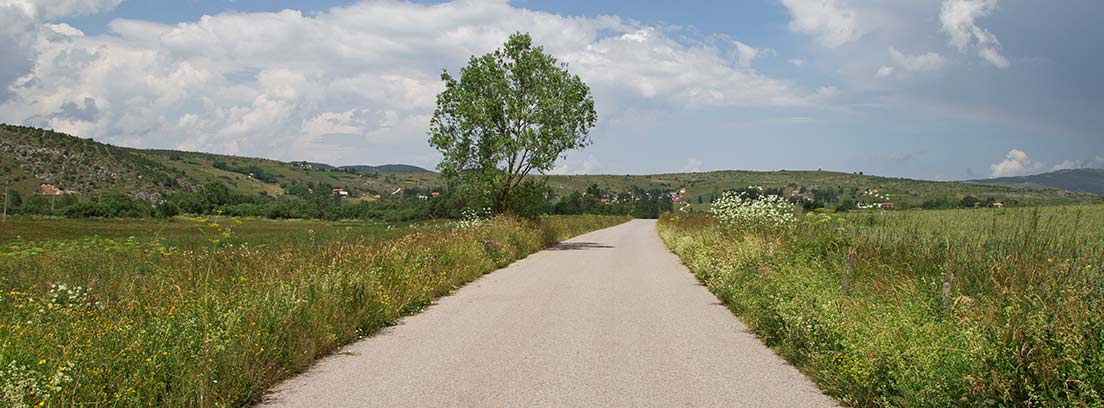 Ventajas y desventajas de las carreteras de hormigón