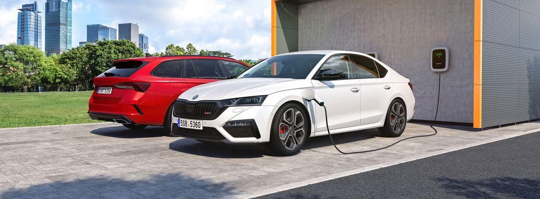 Skoda Octavia RS iV, mayor potencia y más mentalidad ecológica