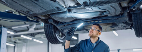 Cárter, usos y partes