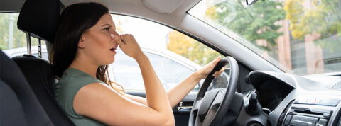 Cómo quitar los malos olores de mi coche