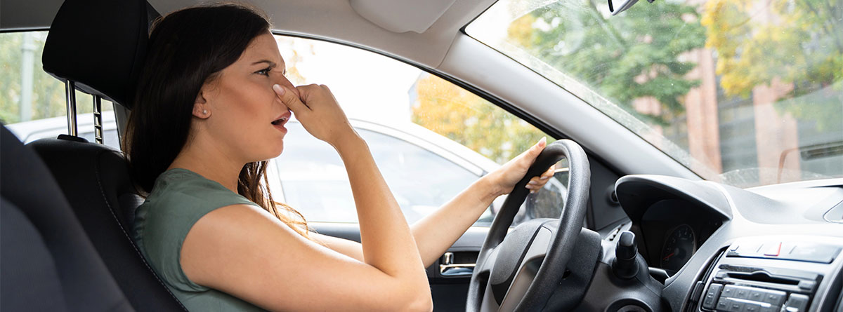 Cómo quitar los malos olores de mi coche