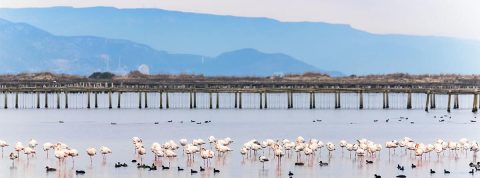 Cómo hacer una ruta en coche por el Delta del Ebro