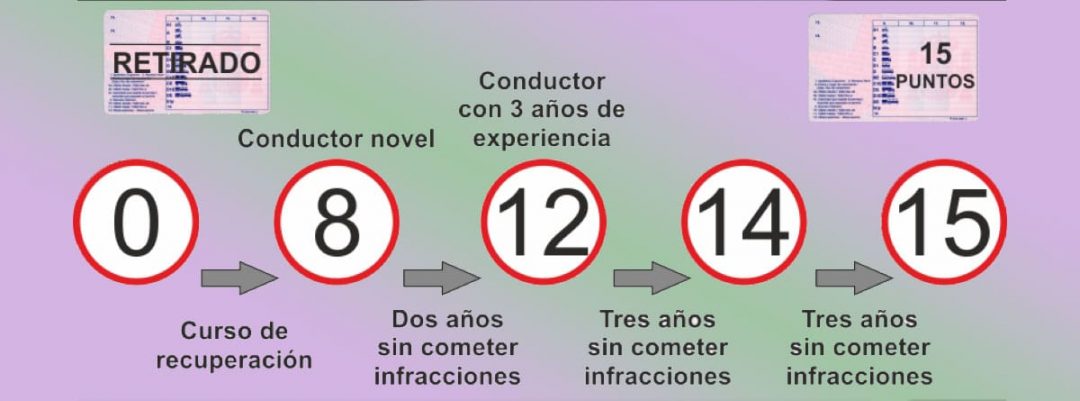 Puntos del carnet de conducir profesional -canalMOTOR