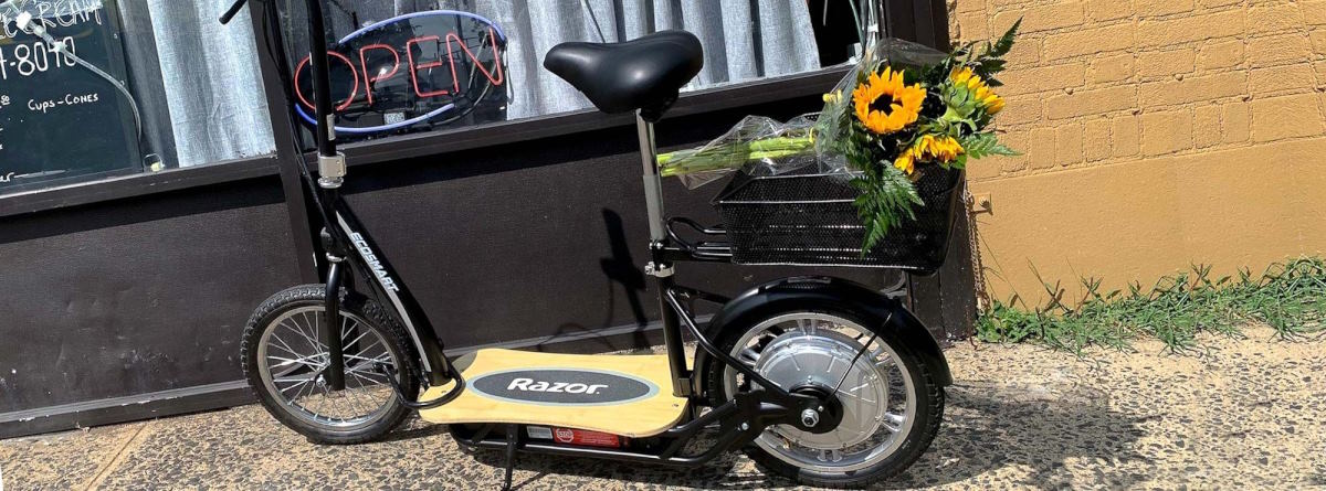 Razor EcoSmart Metro HD